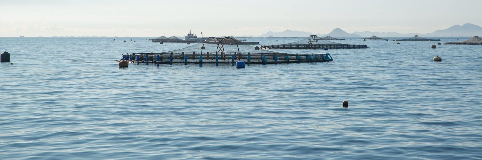 fish pens on the sea