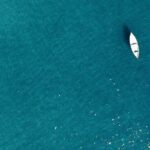 Maricultura de Peces Marinos en México: Una Industria que se Disuelve