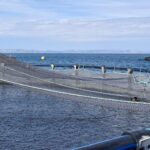 La Tabla Roja: ¿Oportunidad o estancamiento?